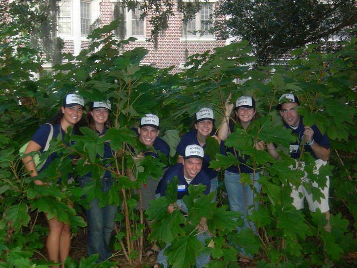Meet Your Ra! T-Shirt Photo