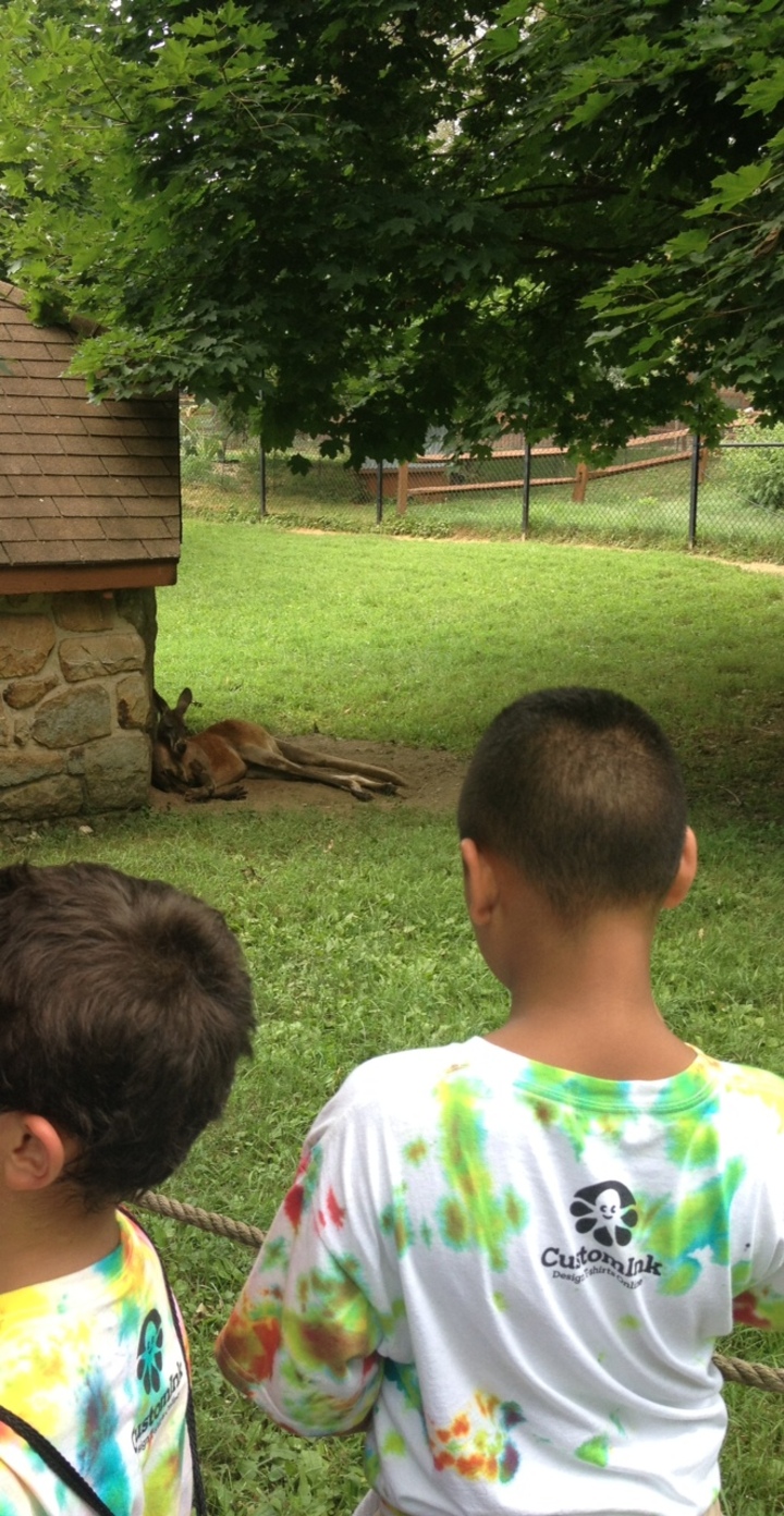 Custom Ink At The Zoo! T-Shirt Photo