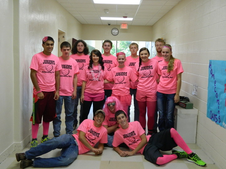 Homecoming 2013 T-Shirt Photo