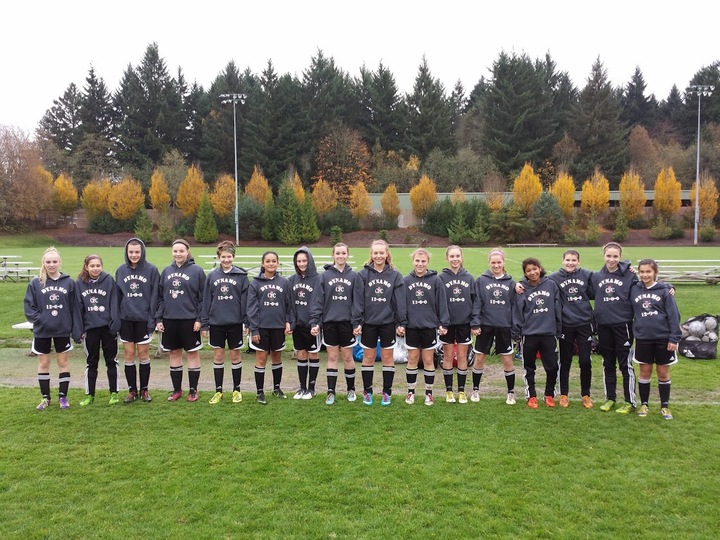 A Perfect Season T-Shirt Photo