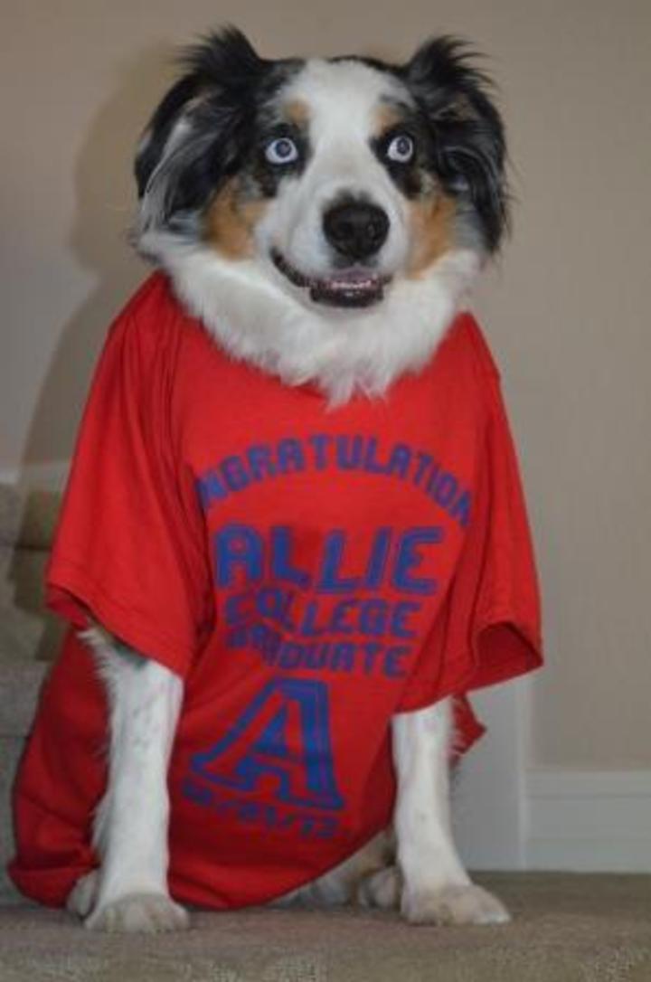 Riley Got In On The Action T-Shirt Photo