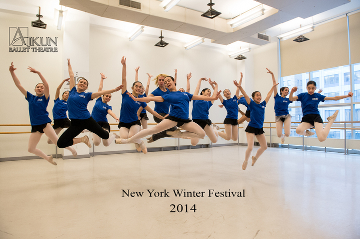 New York Winter Festival 2014 T-Shirt Photo