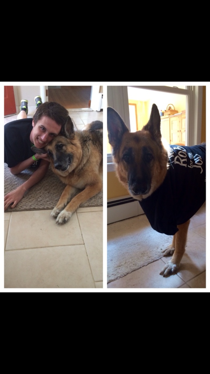 Meca Wants Rob For The Job T-Shirt Photo