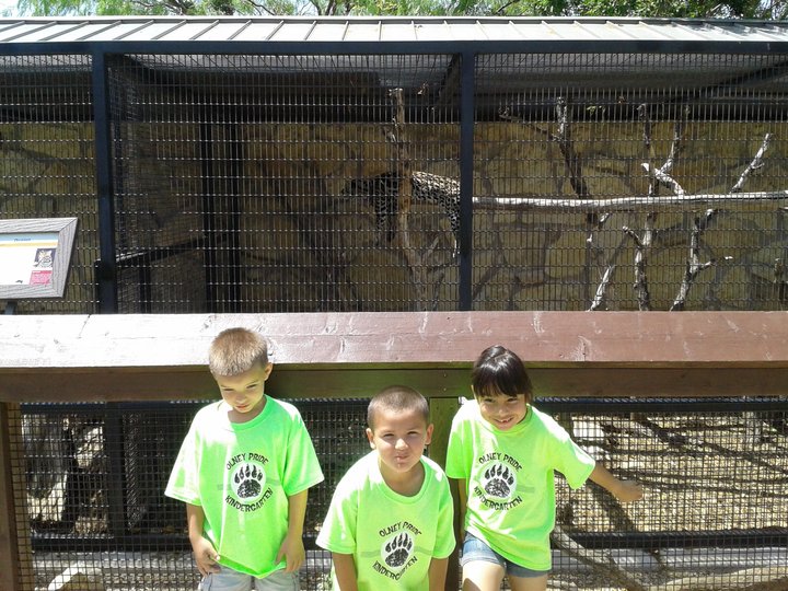 Olney K Zoo Shirts T-Shirt Photo