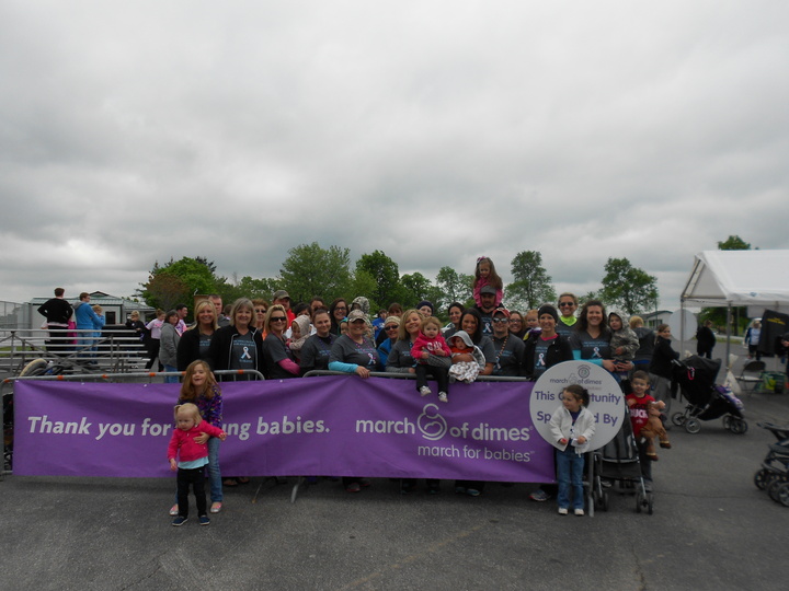 Mod Team Jackson Bradley Chamblin 2014 T-Shirt Photo