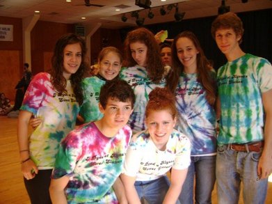I Dyed At Alyssa's Sweet Sixteen T-Shirt Photo