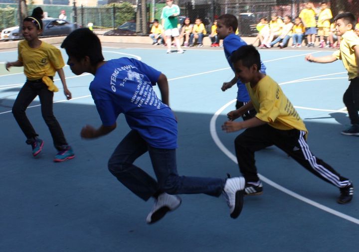 Otero's Owls   Blue And Yellow T-Shirt Photo