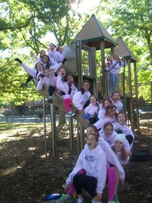 Traditional Pink Power Slide Picture   Making Strides Walk T-Shirt Photo