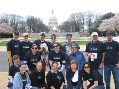 Walk Ms Washington Dc 2008 T-Shirt Photo