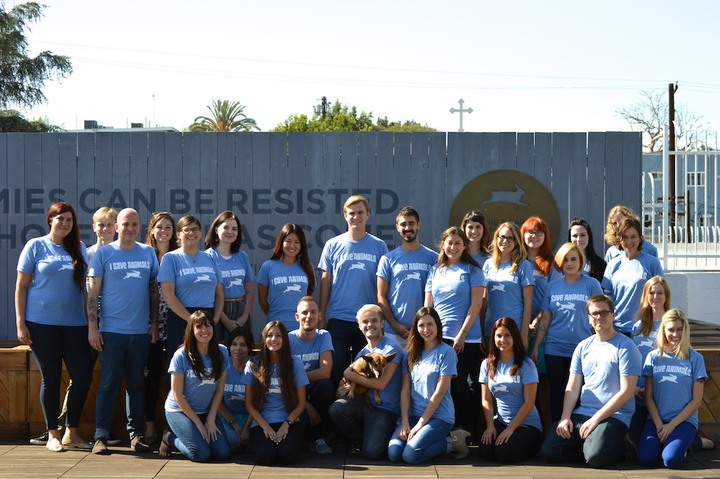 We Save Animals! T-Shirt Photo