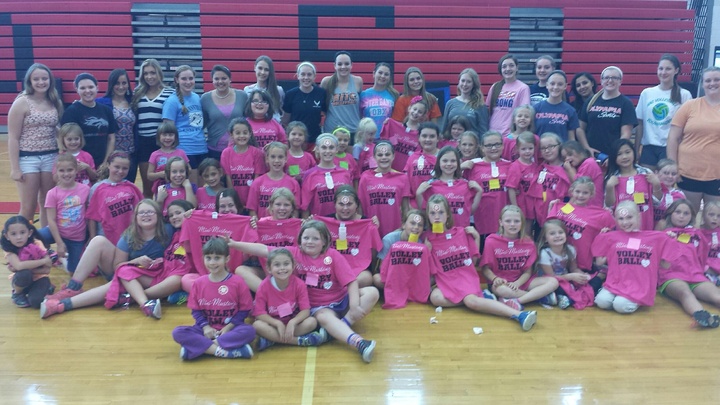 Mini Mustang Volleyball T-Shirt Photo