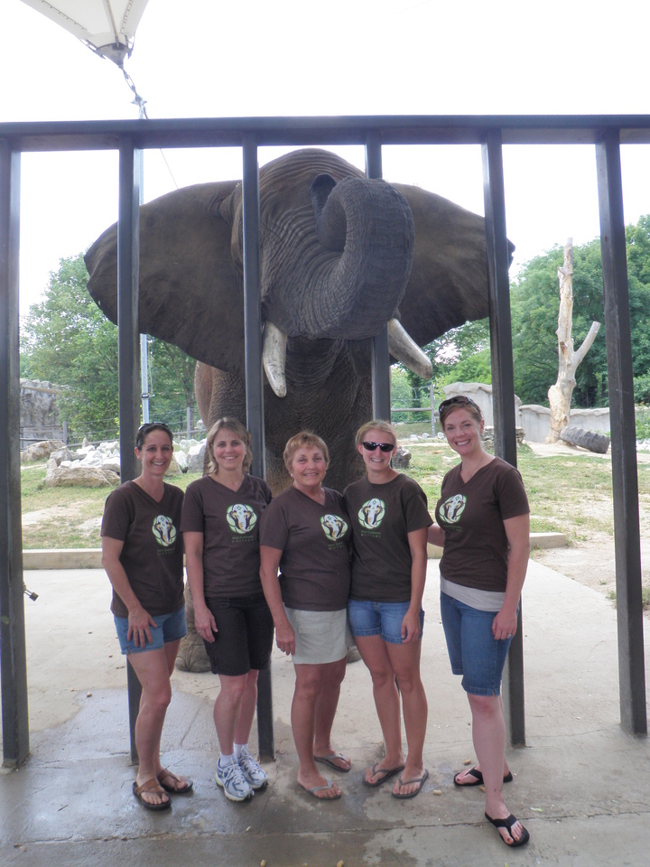 Asian Elephant Support Board T-Shirt Photo