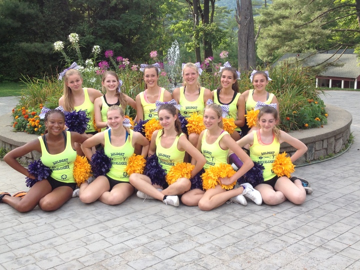 Gccs Wildcats T-Shirt Photo