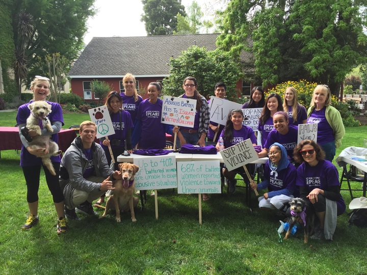 Registration For Paws For Peace Walk T-Shirt Photo