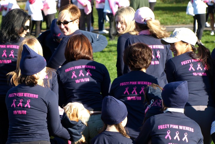 Fuzzy Pink Wieners Team (Backsides!) T-Shirt Photo
