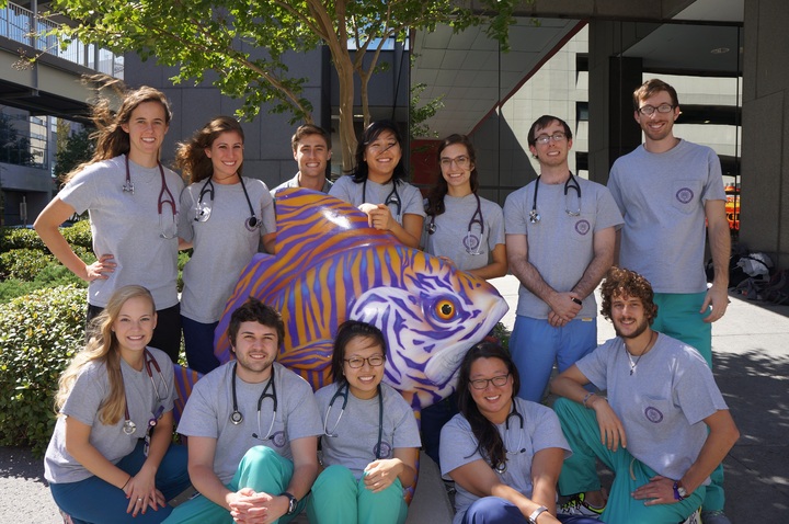 Lsu Student Run Homeless Clinic T-Shirt Photo