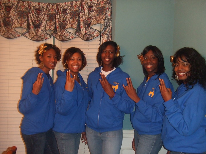 Classy Poodles T-Shirt Photo