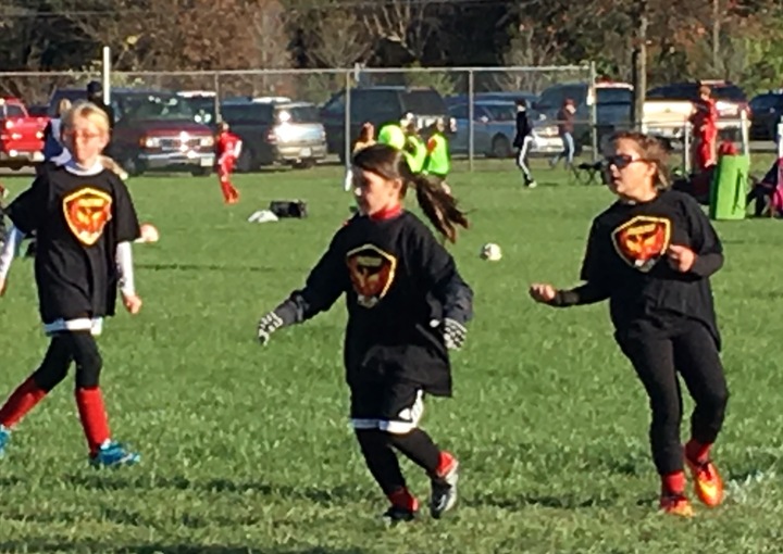 Flying Phoenix T-Shirt Photo