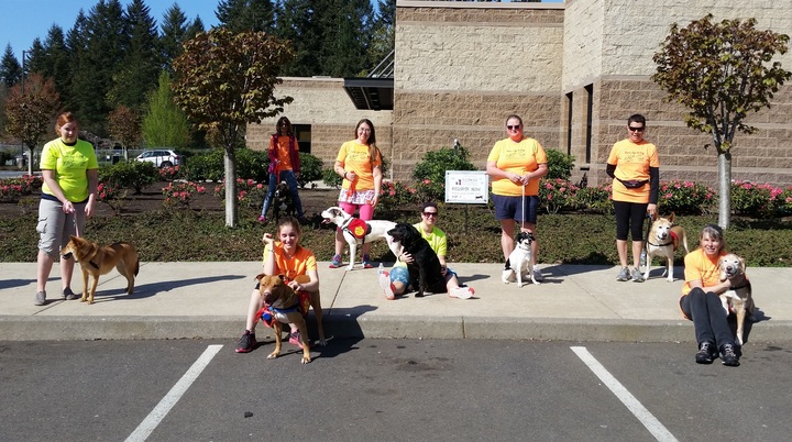 Getting Our Shelter Pups Out And About T-Shirt Photo