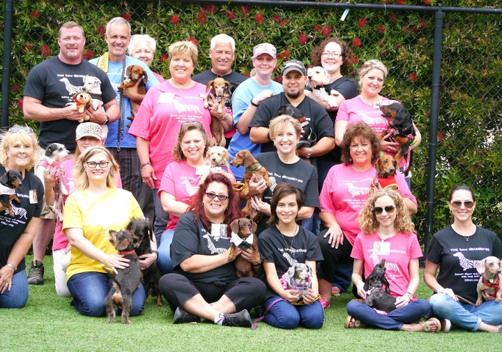 Looking Good While Saving Little Dogs T-Shirt Photo