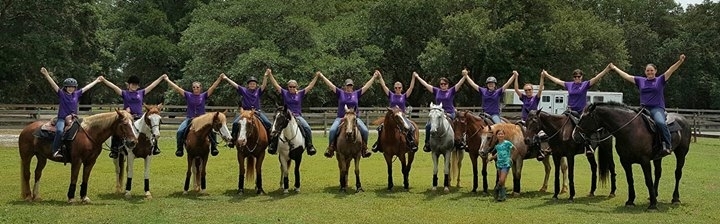 Just Horsin Around T-Shirt Photo