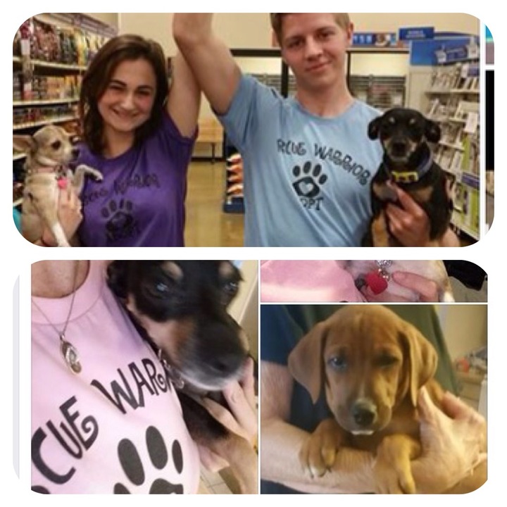 Adoption Events By Aara Pet Adoptions Rock! T-Shirt Photo