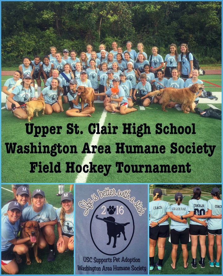 Life Is Better With A Stick!  T-Shirt Photo