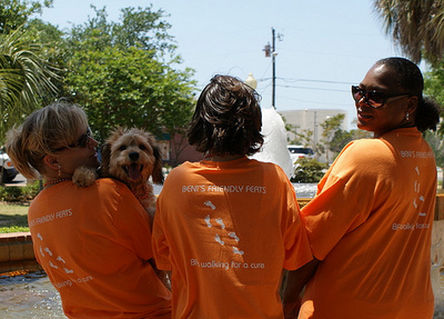 Walk Ms 2009 T-Shirt Photo