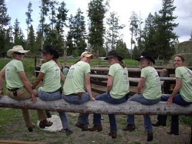 Amanda's Last Weekend Single! T-Shirt Photo