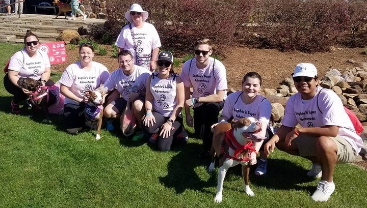 Sophie's Super Adventures T-Shirt Photo