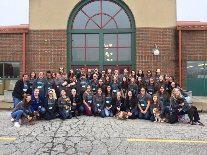 Student Vet Techs  T-Shirt Photo