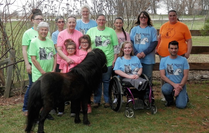 Fun With Miniature Horses T-Shirt Photo