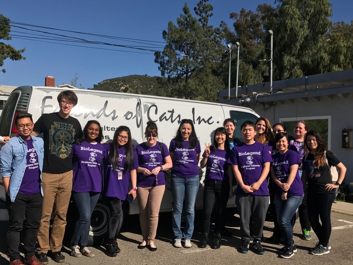 Friends Of Cats Volunteer Day T-Shirt Photo
