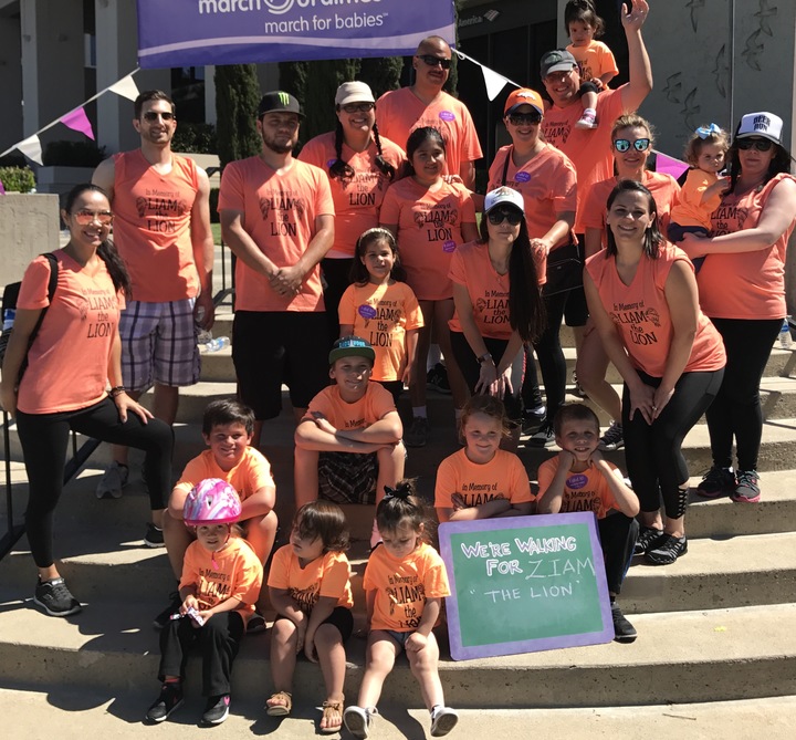 Liam The Lion Walk For Babies T-Shirt Photo