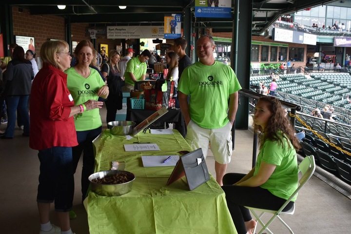 Lancaster Barn Stormers Pet Fest T-Shirt Photo