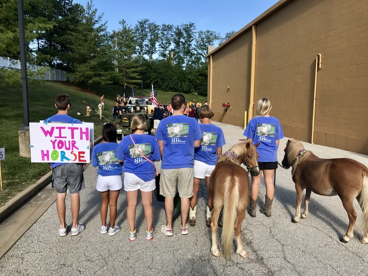 Our Rescue Ponies Walk In Their First Parade! T-Shirt Photo