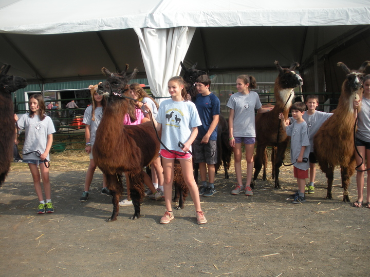 Llama Camp 2017 T-Shirt Photo