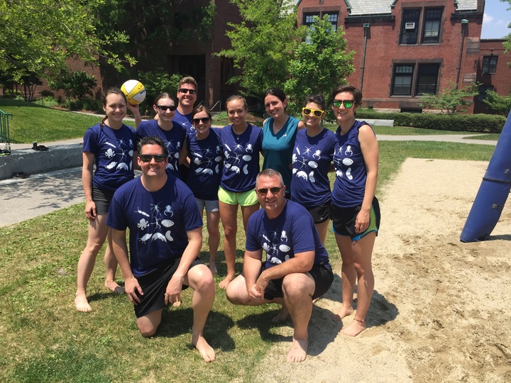 Harvard Volleyball T-Shirt Photo