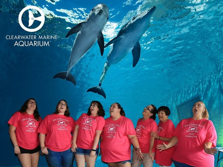 Team Building Fun T-Shirt Photo