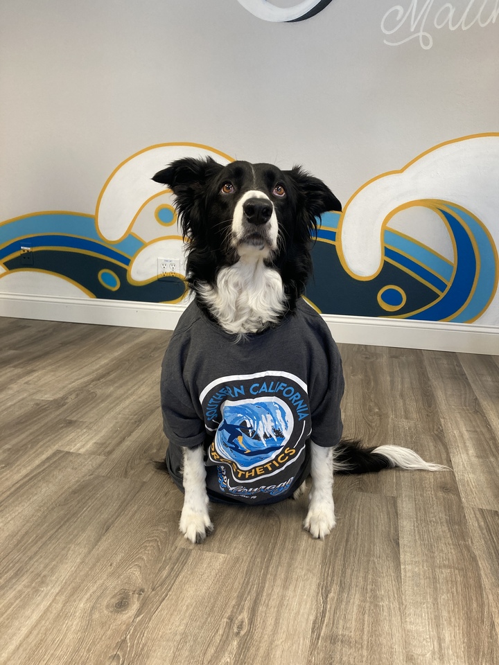 Bear Loves His Customink Shirt! T-Shirt Photo