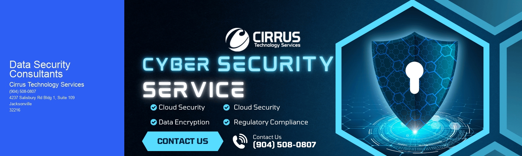 Data Security Consultants