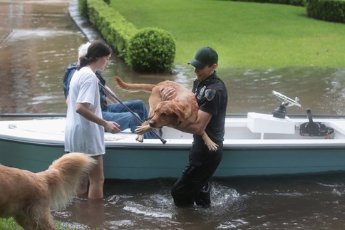 Americans Go Above and Beyond to Rescue Animals From Hurricane Harvey