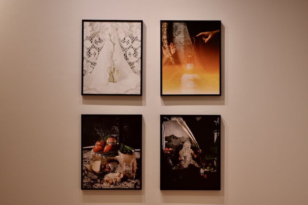Fruit, Caribbean identity inspire Samantha Box's exhibit 'Carribean Dreams' - Vimarsana News