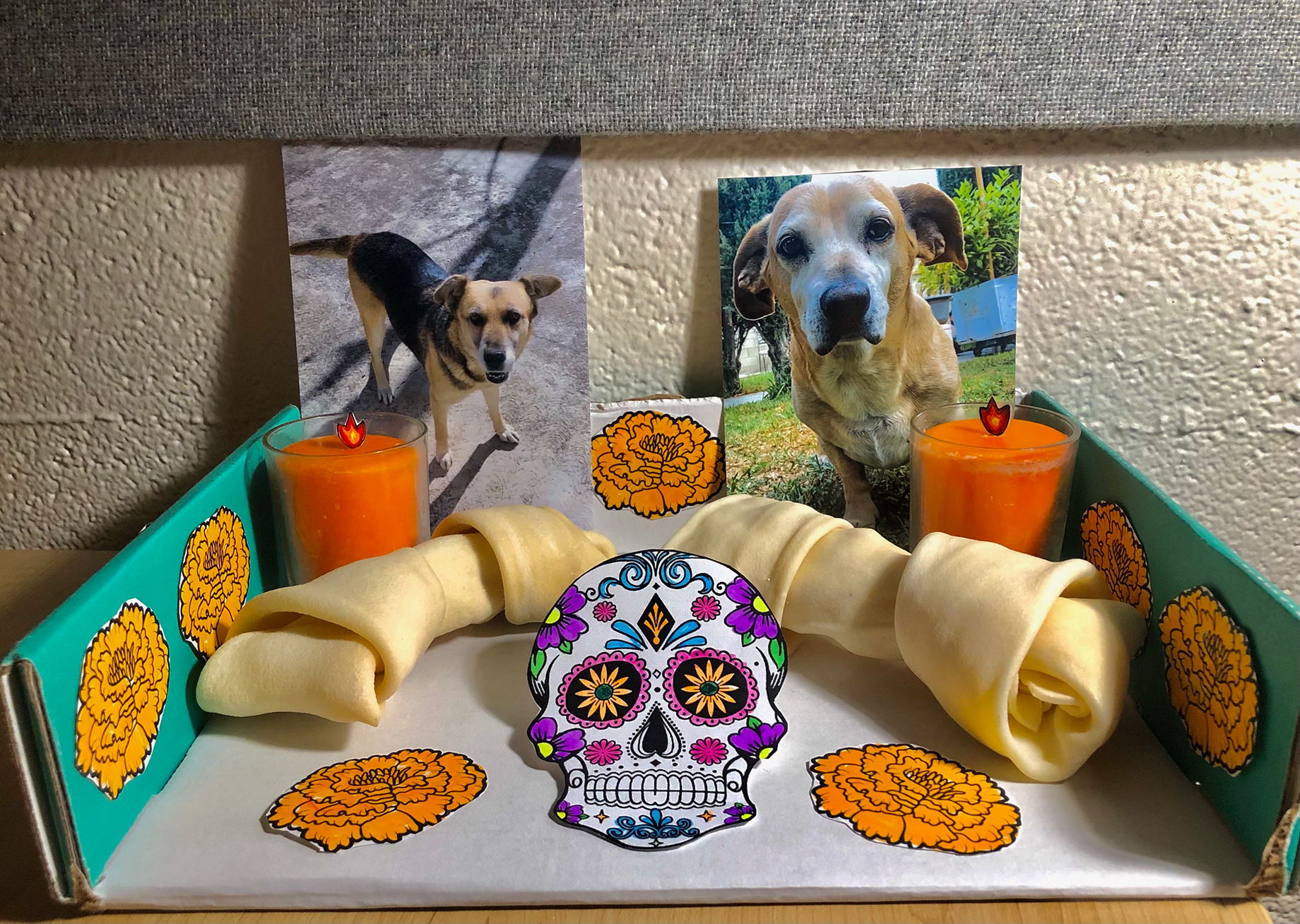 Students share the importance of celebrating dead loved ones for Día de los Muertos - Vimarsana News