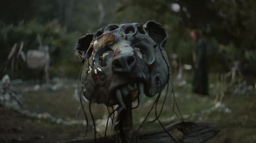 cementerio de animales