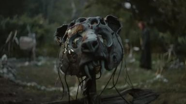 cementerio de animales