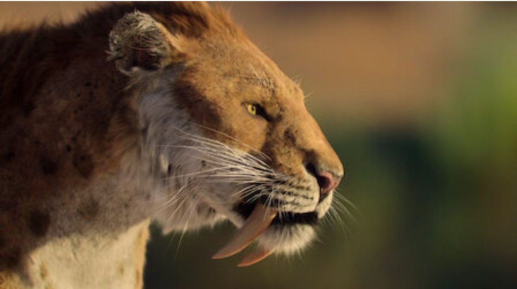 La vida en nuestro planeta