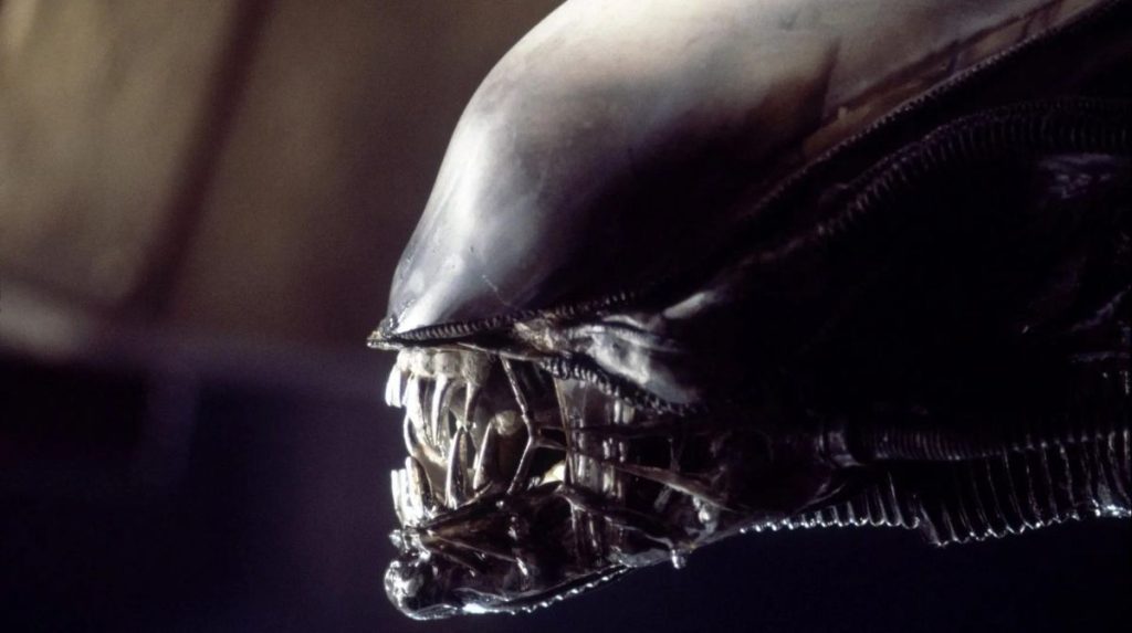 Xenomorfo por Qu Se Le Llama As A La Criatura De Alien Xenomorfo por Qu Se Le Llama As A La Criatura De Alien