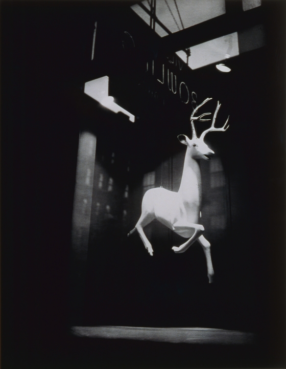 絵画　【Mountain Mosaic】　ロバート・A・ティノ 絵画 【Mountain Mosaic】 ロバート・A・ティノ