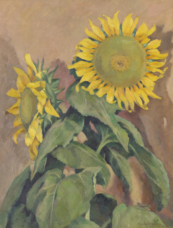 Untitled (Amache sunflowers) | Denver Art Museum
